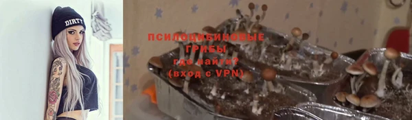 альфа пвп Гусиноозёрск