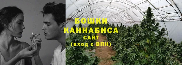 не бодяженный Гусев